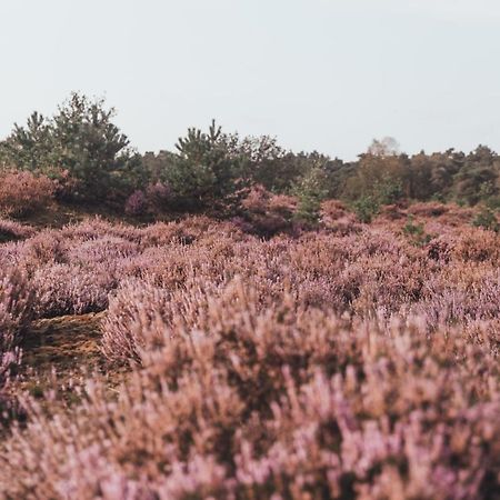 ヌンスペート Noyr. Tiny Houseヴィラ エクステリア 写真